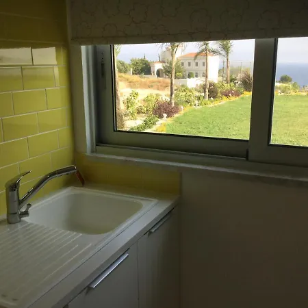 Apartment Yellow Studio Brand New *